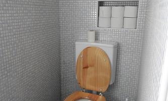 A small bathroom with modern tiles. It features a toilet with a wooden lid and toilet paper beside the wall.