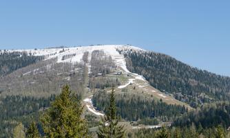 A snow-covered mountain with green forests in the foreground. The clear blue sky completes the beautiful landscape.