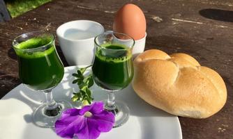 A plate with two glasses of green drinks, a soft-boiled egg, and a roll. In addition, a small bowl of yogurt and a flower.