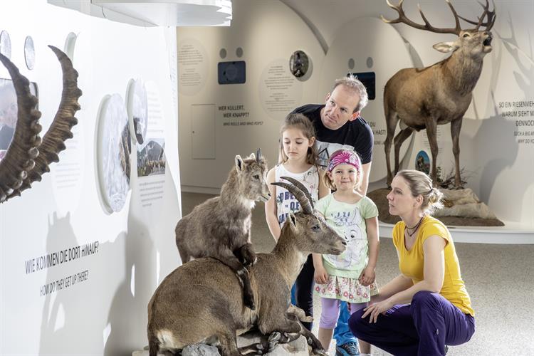 National Park Mallnitz Visitor´s centre