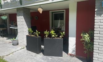 A cozy terrace with planter boxes and sunshine. The walls are painted red and the seating in the background is visible.
