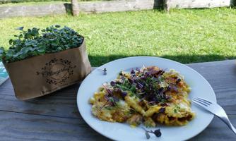 A plate with a delicious vegetable stir-fry, garnished with fresh herbs. In the background, there is a pot of microgreens on a wooden table.