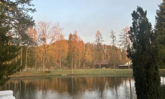 A tranquil lake surrounded by colorful autumn forest. Gentle hills and a clear sky complete the peaceful scenery.