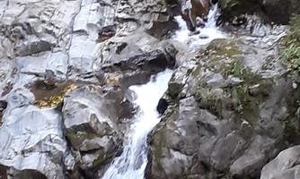 A clear waterfall flowing over rocky stones. Surrounded by lush greenery and calm waters.