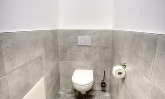 A modern toilet in a simple, bright room. The floor is equipped with gray tiles and there is toilet paper as well as a flush.