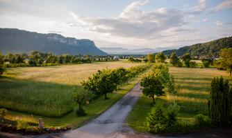 A tranquil landscape with green meadows and trees. In the background, gentle mountains and a clear sky can be seen.