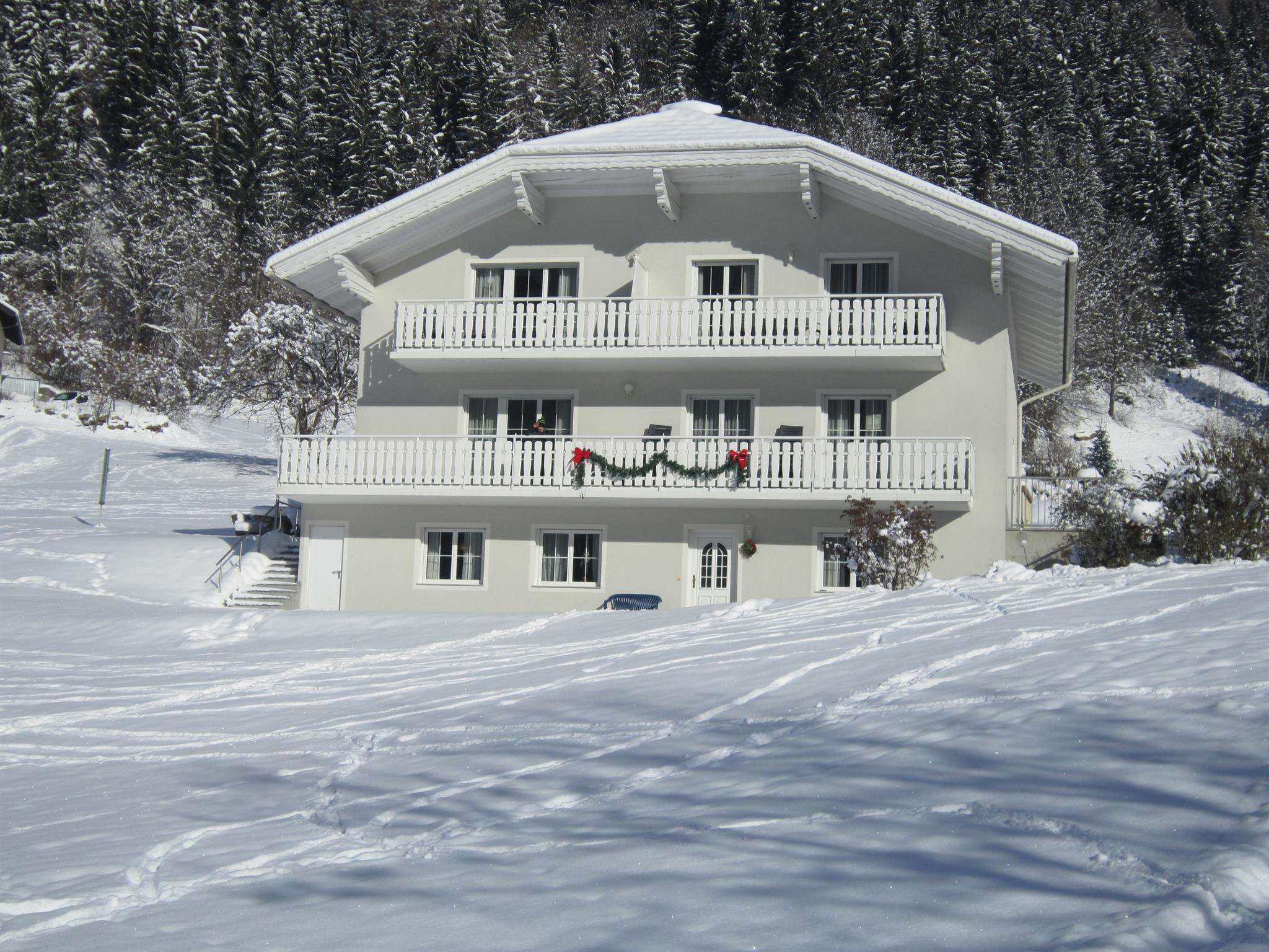 Landhaus Bürse Appartement Nr. 2 Ferienwohnung in Österreich