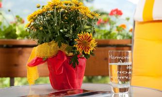 A beautiful flower pot with yellow chrysanthemums is on a table. Next to it is a glass of water sitting on a colorful coaster.