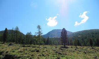 A beautiful, green meadow with scattered trees and a mountain in the background. The sky is clear with a few clouds.
