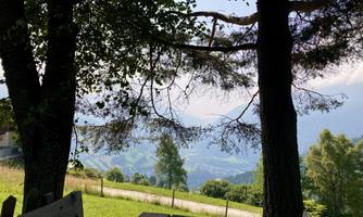 A beautiful view of the mountains through the trees. In the foreground, there is a wooden steel table on a green meadow.