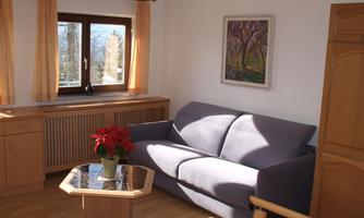 A bright living room with a gray sofa and a coffee table. On the table stands a plant, and in the background are windows with a view and colorful wall art.