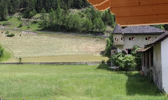A vast meadow with fresh grass and an old, mysterious building in the background. Surrounded by trees and a serene, natural landscape.