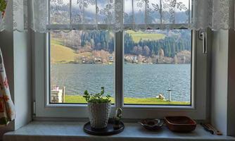 A view from a window of a picturesque lake and green hills. On the window sill, there is a small potted plant.