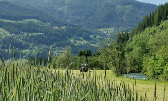 A green landscape with tall grasses and a tractor in the background. In the background, there is a mountain range with snow-capped peaks.