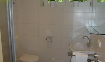 A modern bathroom with a shower, sink, and toilet. Large windows offer a view of the greenery.