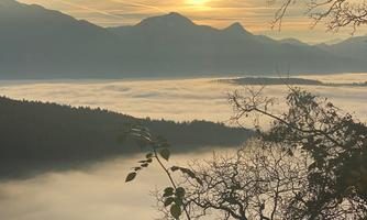 A beautiful sunrise over the mountains, with fog enveloping the valley. Branches of a tree frame the scene.