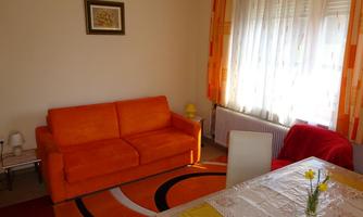 A cozy living room with an orange sofa and a round rug. On the table, there is a vase with fresh flowers.