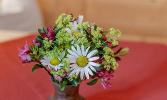 A colorful bouquet with daisies and various green plants. The flowers are in a vase on a red table.