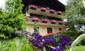 A beautiful house with balconies decorated with colorful flowers. In the foreground, violet plants are blooming and the surroundings are green and well-kept.