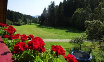 Aussicht vom Balkon Wohnungen 1 und 2