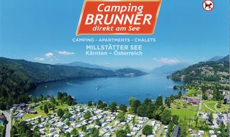 A picturesque view of Lake Millstatt with campsites and green forests. Perfect for a relaxing holiday in Carinthia, Austria.