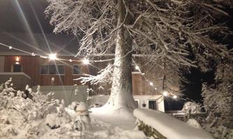 A snowy winter landscape at night with a large tree and festive lighting. The building in the background is partially visible and creates a cozy atmosphere.