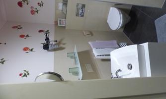 Small bathroom with washbasin, wall shelf with glasses, hairdryer, towel radiator and wall-hung toilet; wall decorated with rose motifs.