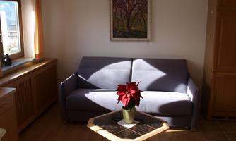 A cozy living room with a gray sofa and a table in the middle. On the table, there is a flower in a pot, and a painting hangs on the wall.