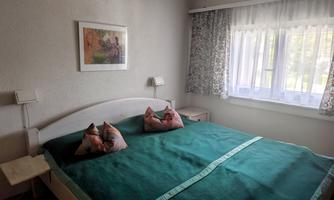 A cozy bedroom with a large bed and a green duvet. The windows let in plenty of daylight and the walls are simply decorated.