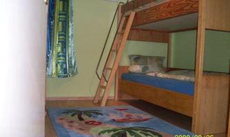 A room with a wooden bunk bed and blue bedding. The floor is covered with a carpet featuring palm motifs, and the walls are painted in a soft green shade.