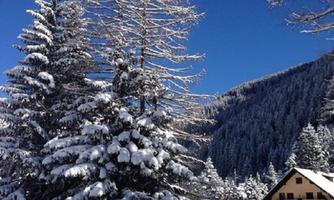 A snowy winter landscape with tall pine trees and a mountain cabin. The sky is clear and blue.