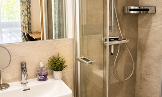 A modern bathroom with a glass shower and an elegant sink. The room is bright and inviting, with a small plant on the shelf.