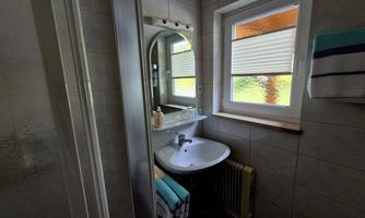A small bathroom with a sink and a large mirror. The window lets in daylight and shows a green view.