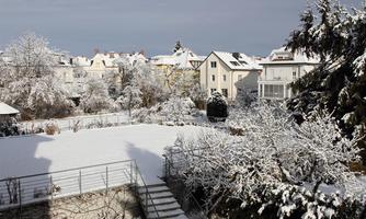 A snowy landscape with white trees and a quiet garden. In the background, houses can be seen under a clear sky.