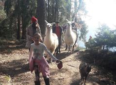 Wandern mit Tiere Wandern mit Tiere
