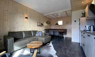 A cozy living space with wood paneling, a green sofa, and a dining table. The modern kitchen is well-equipped and the room has plenty of daylight.