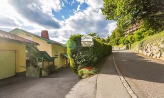 A quiet path leading to a house with a sign. The surroundings are green and bordered by trees, under a clear sky.