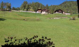 A green meadow with two traditional chalets in the background. In the background, there are trees and a clear blue sky.