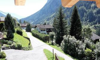 A picturesque landscape with green meadows and tall fir trees. In the background, mountains and some houses can be seen.