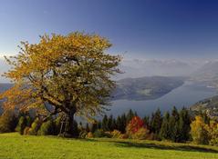 Herbst Herbst
