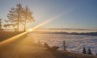 A breathtaking sunrise above a blanket of clouds. Silhouettes of trees and a resting place reflect the serene morning atmosphere.