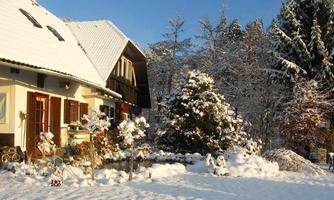 winterfreuden