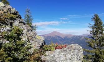 Eine felsige Landschaft mit grünen Pflanzen im Vordergrund und einem bergigen Hintergrund. Der Himmel ist klar und blau, was eine ruhige Atmosphäre schafft.