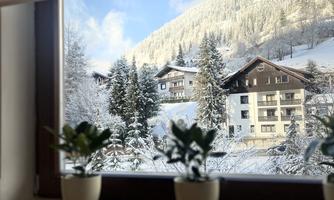 A winter view through a window of snow-covered mountains and idyllic wooden houses. In the foreground, small plants in pots are visible.