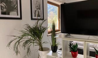 A stylish living space with a large television and plants. Pictures of famous personalities hang on the wall.