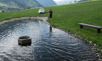 A peaceful pond with gentle waves, surrounded by green meadows and mountains in the background. A person stands on the shore and a car is parked nearby.