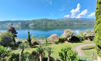 A picturesque view of a tranquil lake, surrounded by lush greenery and colorful flowers. The sky is clear and the mountains in the background are visible.