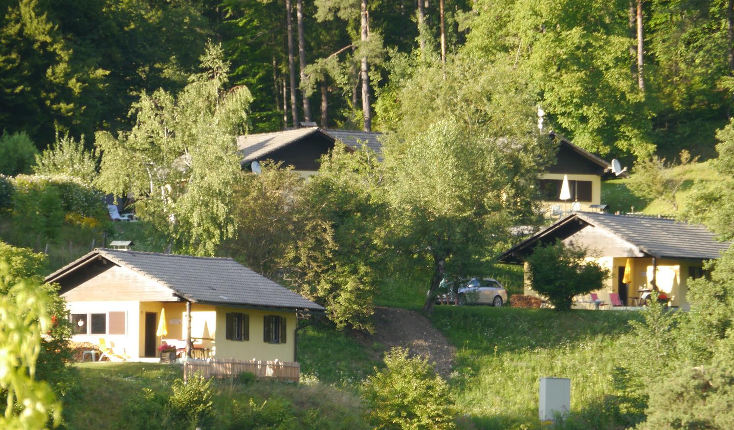 Der Hang zum Süden-Ferienhaus Faaker See