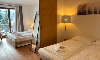 A bright room with two beds, a cozy lamp, and a mirror.  
Large windows offer a view of nature.