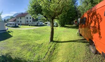 A campsite with green grass and a large tree. In the background, there are motorhomes and a building.